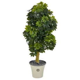 5' Schefflera Artificial Tree in Decorative Planter (Real Touch)
