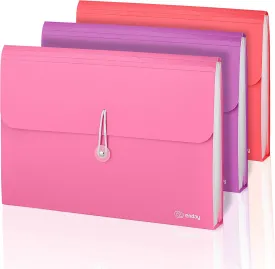 Accordion File Organizer, 13 Pocket Expanding File & Cover Folder with Labels, Plastic Portable Desktop Supplies Letter A4 Paper in Purple, Pink, Red, Multicolor, (3 Pack)  by Enday