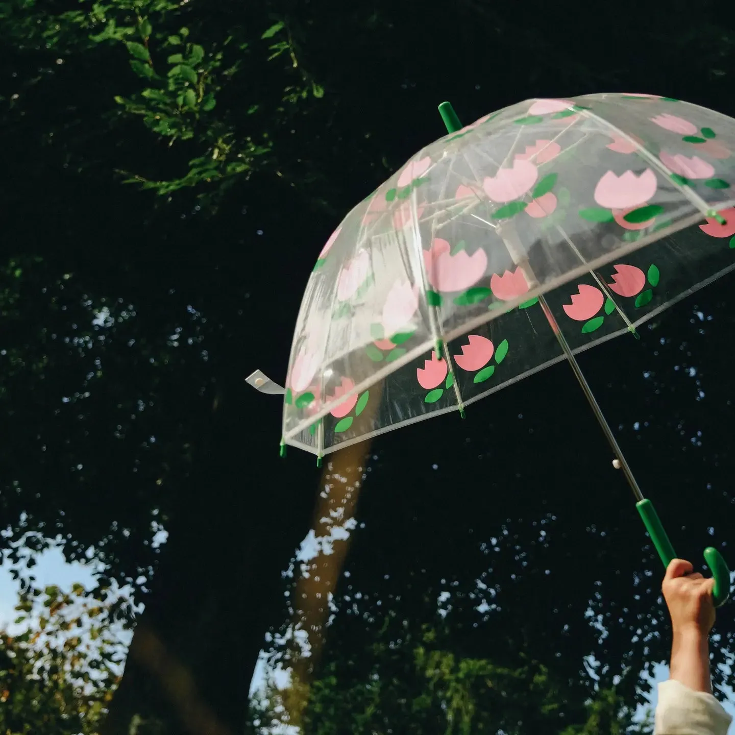 Adult Umbrella ''Tulips''