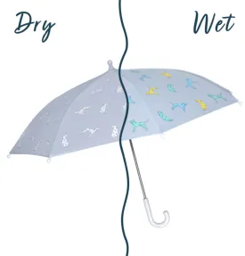 Dalmatian Dog Umbrella Color Changing