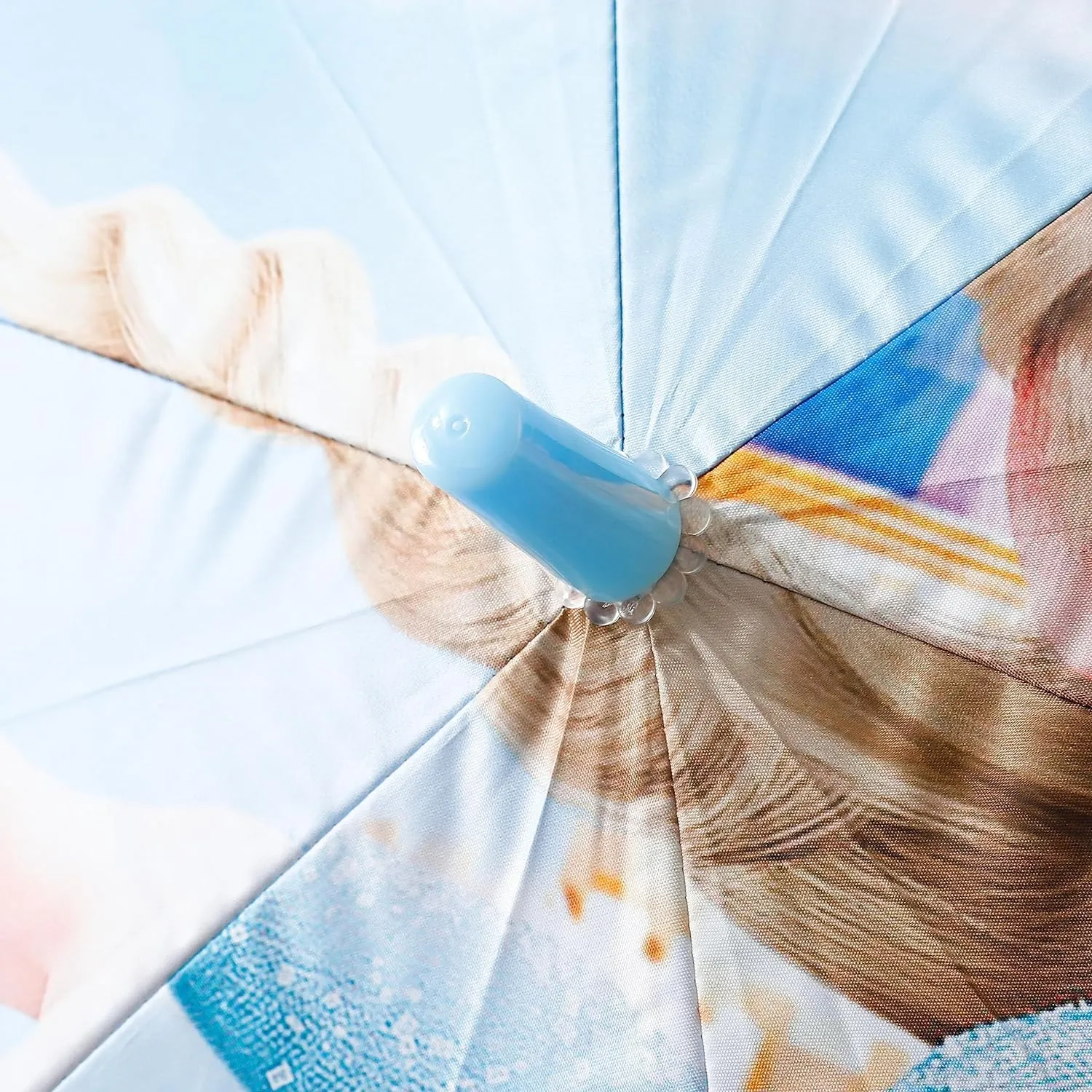 Kuber Industries Disney Frozen Print Umbrella For Kids|Automatic Umbrella For Rain-Pack of 4 (Sky Blue)