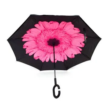 Parquet | Inverted Umbrella