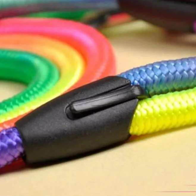 Rainbow Dog Leash