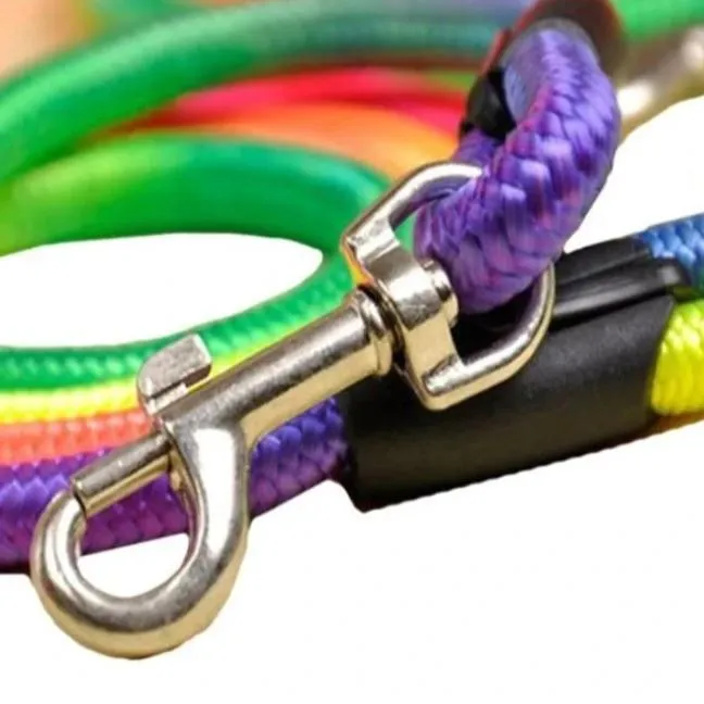 Rainbow Dog Leash