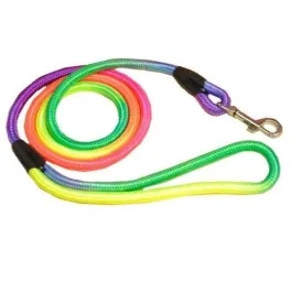 Rainbow Dog Leash