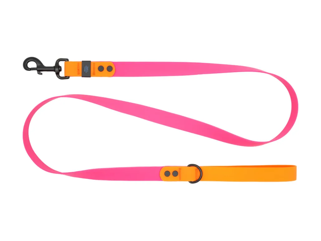 RC Pets Waterproof Leash 5' x 3/4"