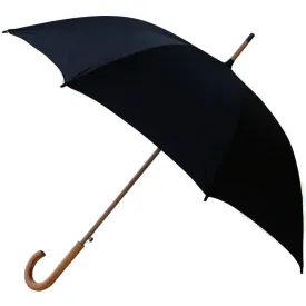 Two One Two Auto Open Stick Umbrella